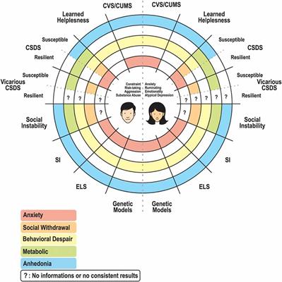 Sex-Specific Brain Transcriptional Signatures in Human MDD and Their Correlates in Mouse Models of Depression